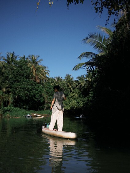Picture 4 for Activity Wanning: Coconut Forest SUP Adventure with English Guide 5