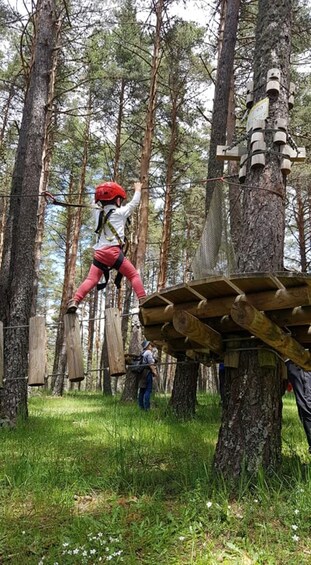 Picture 4 for Activity El Amogable Adventure Rope Park Entry Ticket 2