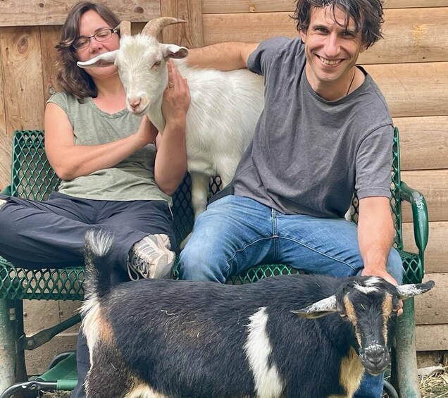 Picture 7 for Activity Guided Forest Hike with Rescued Goats 5