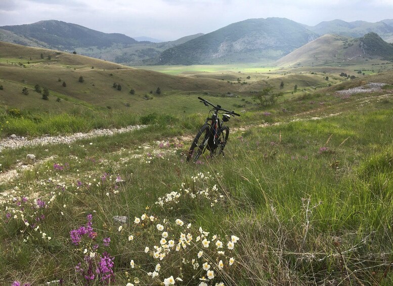 A mountain bike parked on a grassy hillside with wildflowers and distant mountains. 4