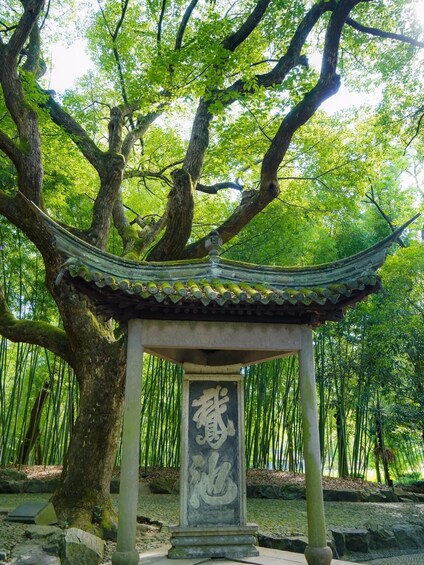 A traditional Chinese pavilion with a tiled roof, surrounded by lush greenery and bamboo. 4