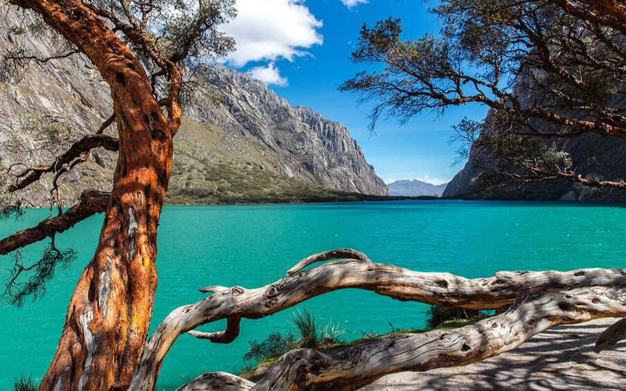 Picture 6 for Activity From Huaraz: Full-Day Excursion to Lagoon 69 5