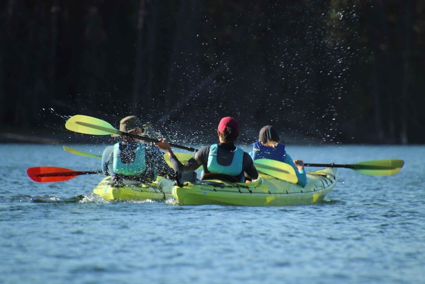 Three people kayaking on a calm body of water. 5
