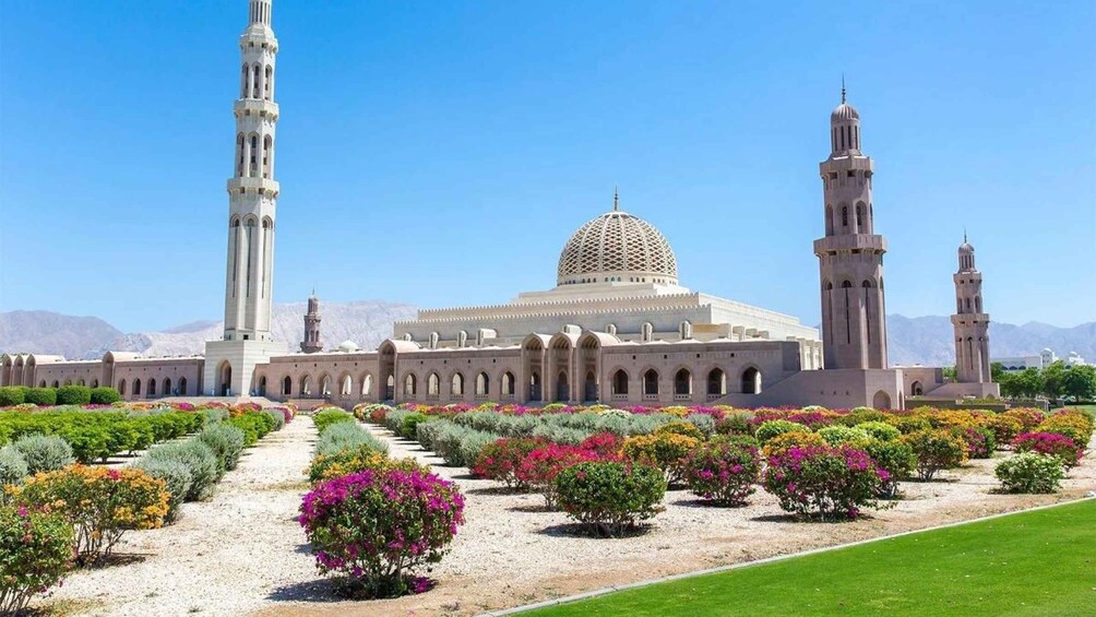 Picture 4 for Activity Soul of Muscat: Private Half-Day Cultural Tour 5