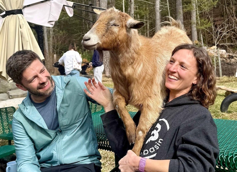 Frederick Farm Goat Sanctuary: Goat Therapy Experience 1