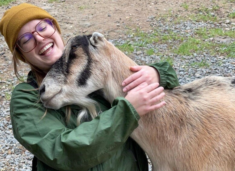 Picture 21 for Activity Frederick Farm Goat Sanctuary: Goat Therapy Experience 4