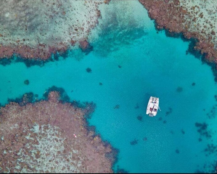 Picture 5 for Activity Mayotte: Lagoon Boat Cruise and Snorkeling Tour 5