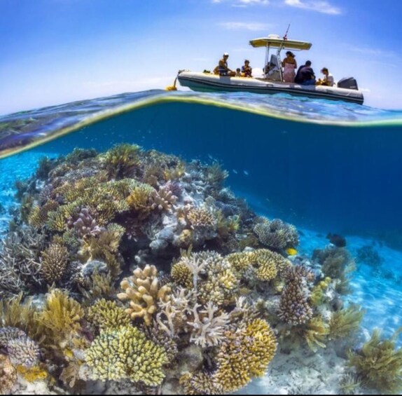 Picture 3 for Activity Mayotte: Lagoon Boat Cruise and Snorkeling Tour 3