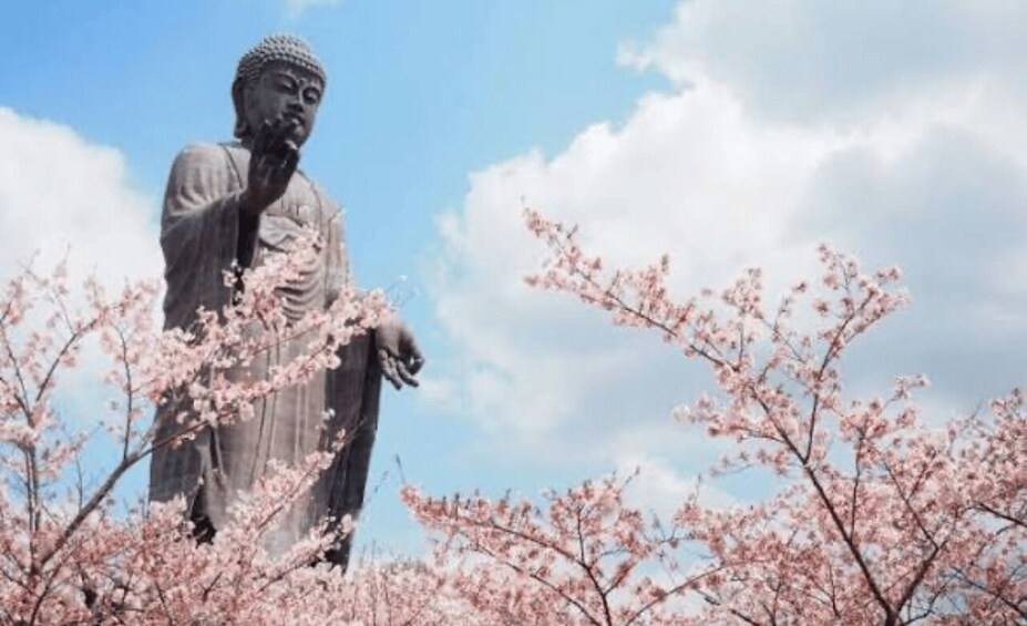 A large statue with cherry blossoms in the foreground. 3