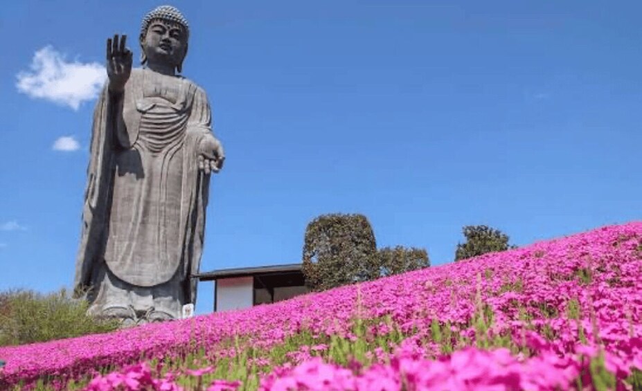 A large statue of a seated figure with outstretched arms, surrounded by a field of pink flowers under a clear blue sky. 2