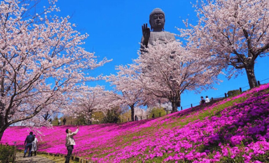 A large Buddha statue, cherry blossoms, and a hillside. 4