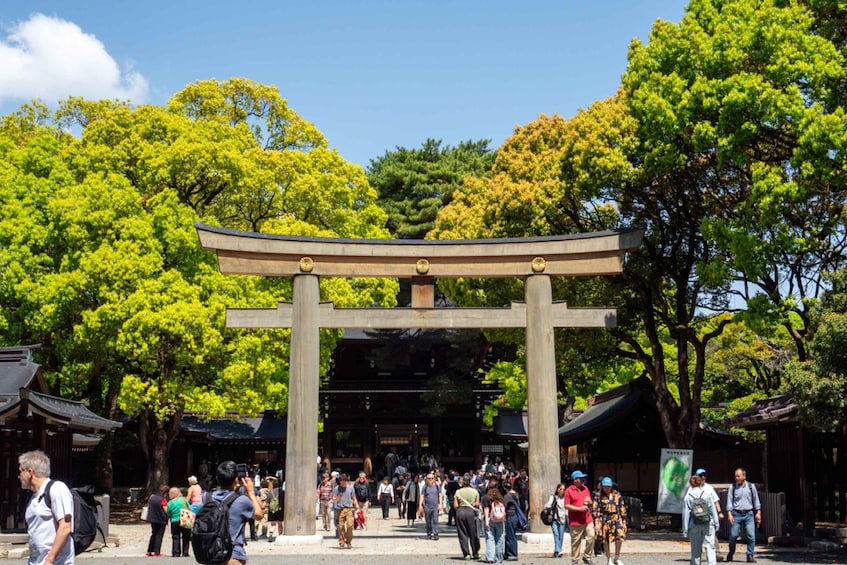 Tokyo: Meiji Shrine & Shinto Culture Walking Tour 1