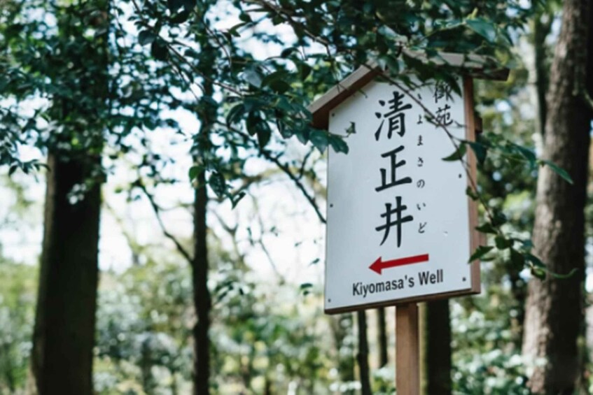 Picture 17 for Activity Tokyo: Meiji Shrine & Shinto Culture Walking Tour 3