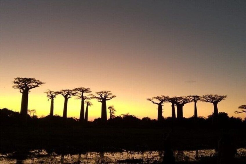 Madagascar One Day Tour Morondava 5