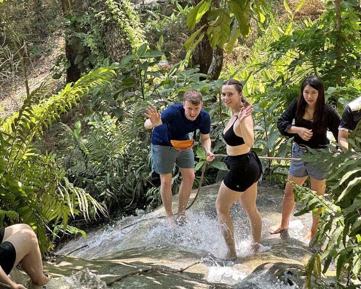 Picture 2 for Activity Chiang Mai: Sticky Waterfall,Land of Angels & Cafe Elephant 5