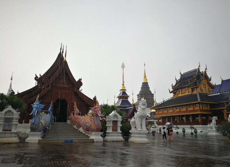 Picture 10 for Activity Chiang Mai: Sticky Waterfall,Land of Angels & Cafe Elephant 2