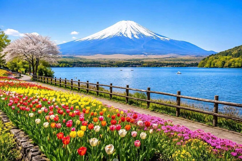 A lake with a wooden fence, colorful tulips, and Mount Fuji in the background. 2