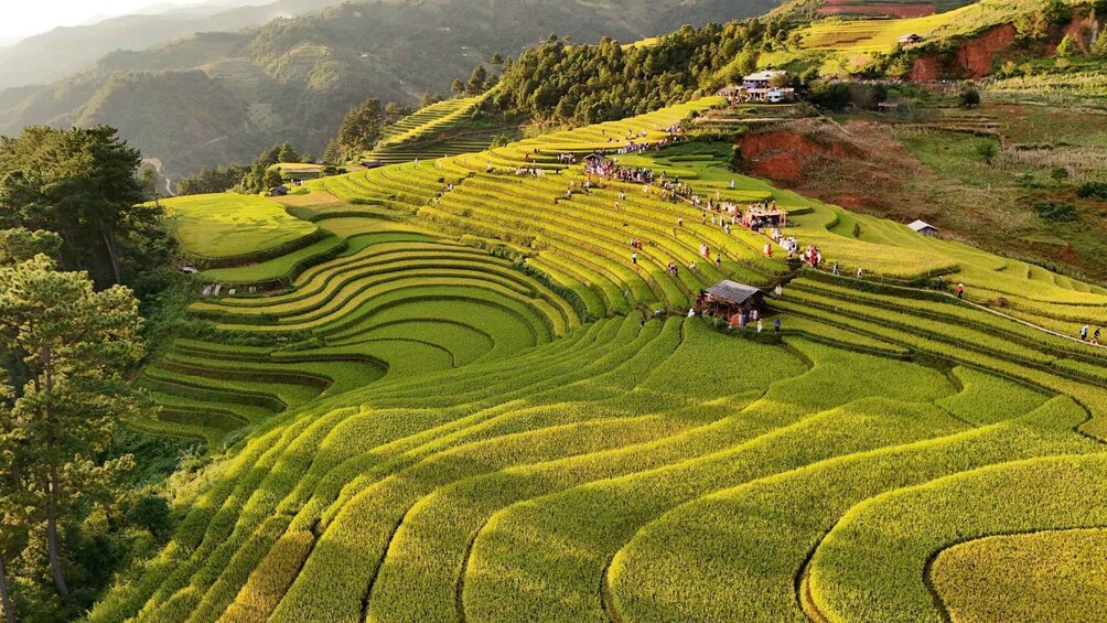 Mu Cang Chai: 2-Day Private Trek with Homestay & Meals 1