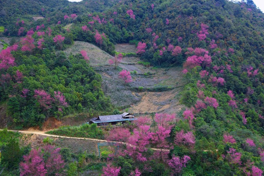 Picture 8 for Activity Mu Cang Chai: 2-Day Private Trek with Homestay & Meals 4