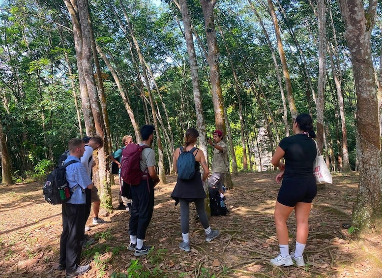 A group of people hiking in a forested area with tall trees and a dirt path. 1