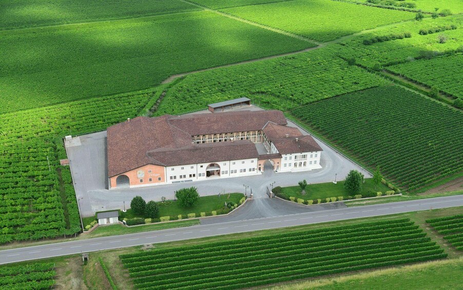 Picture 2 for Activity Authentic Experience - Guided Tour and Wine Tasting between Soave and Valpolicella 3