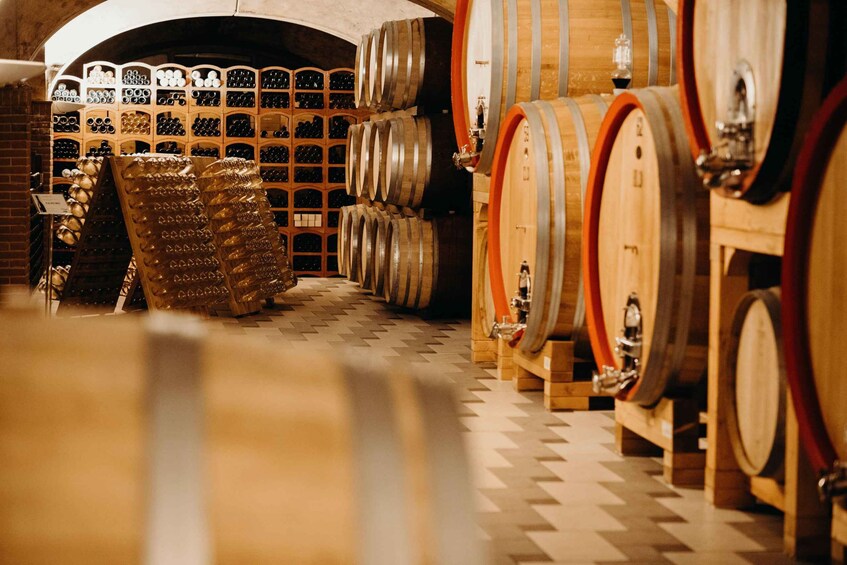 Authentic Experience - Guided Tour and Wine Tasting between Soave and Valpolicella 1