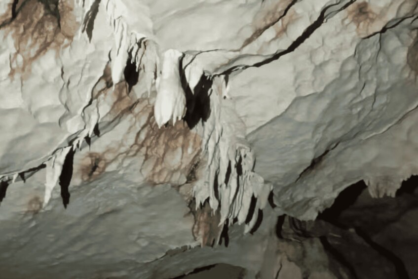 Picture 1 for Activity Private Ancient Cave Art & Taíno Heritage Expedition 2