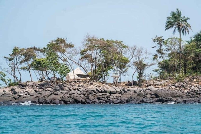 A rocky shoreline with a tent and palm trees. 3