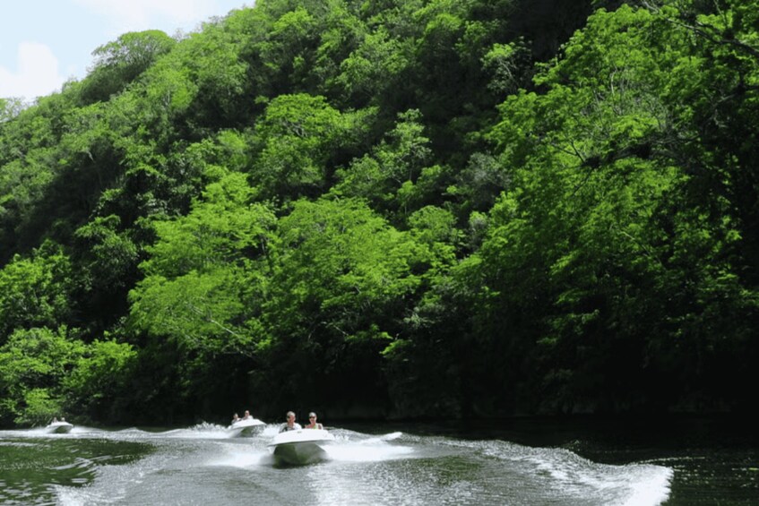 Picture 7 for Activity Private Chavón River High-Speed Boat Adventure 4