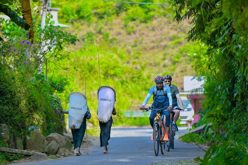 Picture 6 for Activity Hatton: Guided E-Bike Tour of Ceylon Tea Country 3