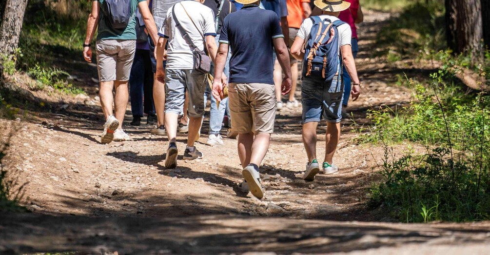 Château La Négly: Guided walk through the vineyards & food tasting 1
