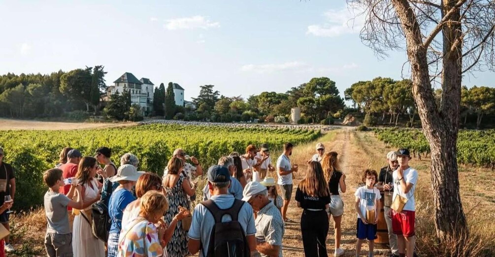 Picture 2 for Activity Château La Négly: Guided walk through the vineyards & food tasting 2