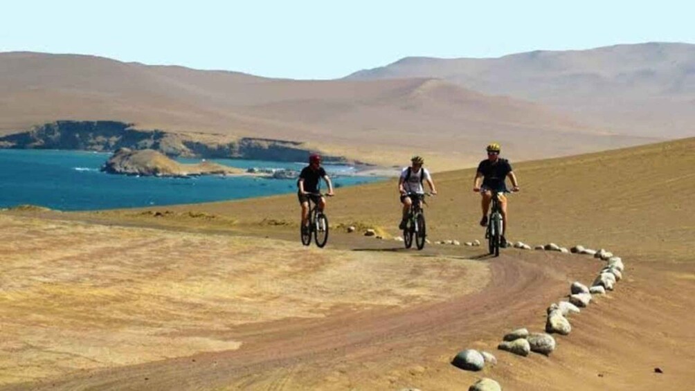 Three cyclists on a dirt path with a coastal landscape in the background. 1