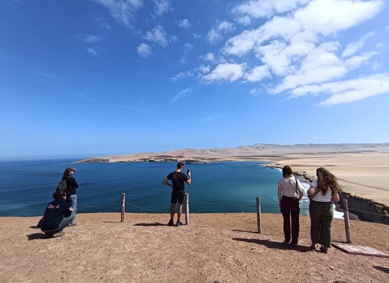 A group of people at a coastal viewpoint overlooking a desert landscape with a clear blue sky. 3