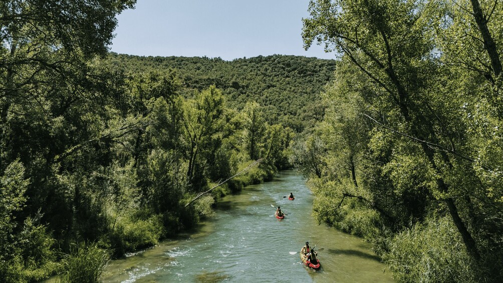 A river surrounded by dense forest, with kayakers navigating the calm waters. 3