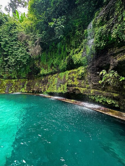 A clear turquoise pool surrounded by lush greenery and a rocky cliff. 3