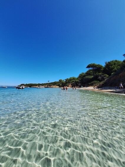 Clear shallow waters, a sandy beach, and a rocky coastline with trees. 4