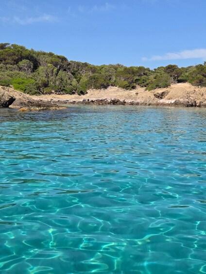 Clear turquoise water, rocky shoreline, and dense green vegetation. 2