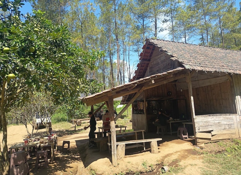 A rustic wooden structure with a tiled roof, surrounded by trees and a dirt ground. 3