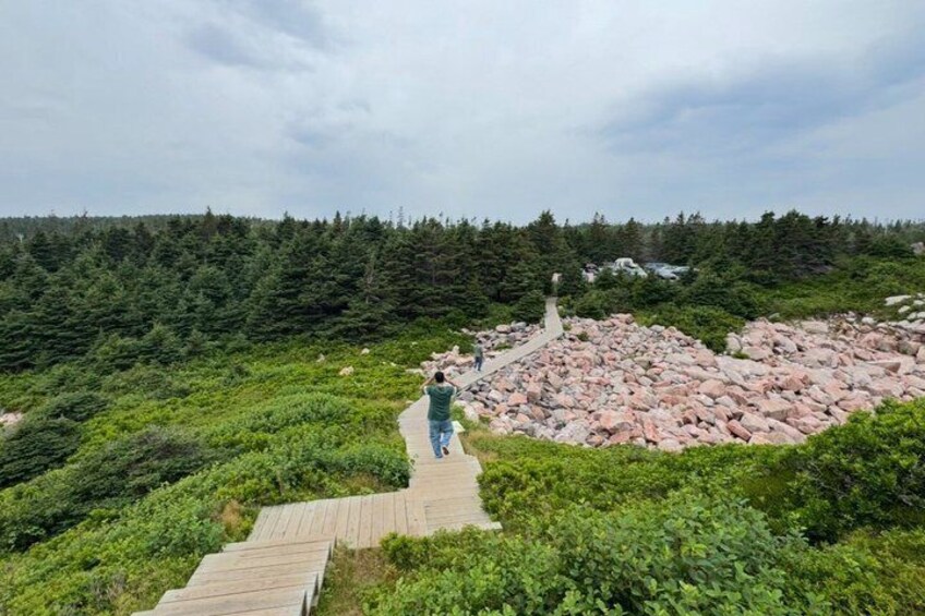 Cabot Trail 6 Hour Private Tour by Discover The Island Tours 5