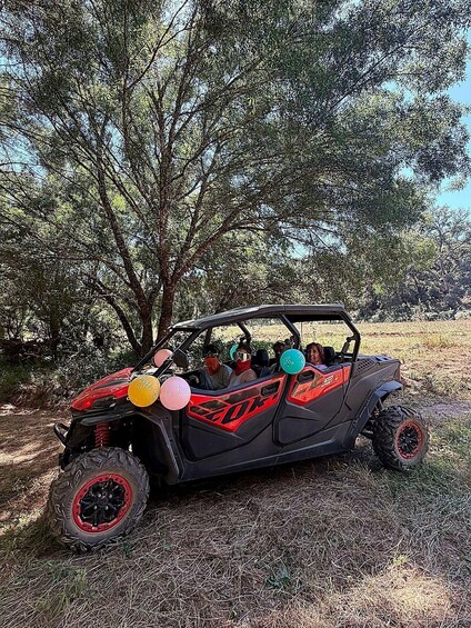 Picture 4 for Activity Alentejo: Secret Alentejo Guided Buggy Tour 2
