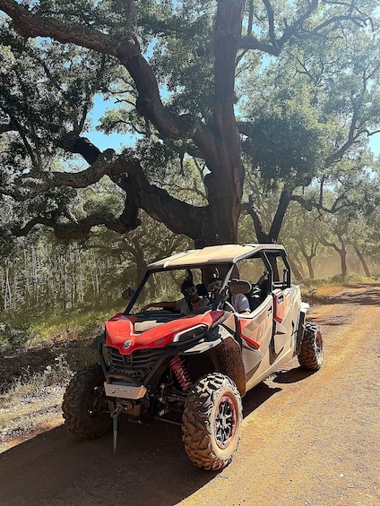Alentejo: Secret Alentejo Guided Buggy Tour 3