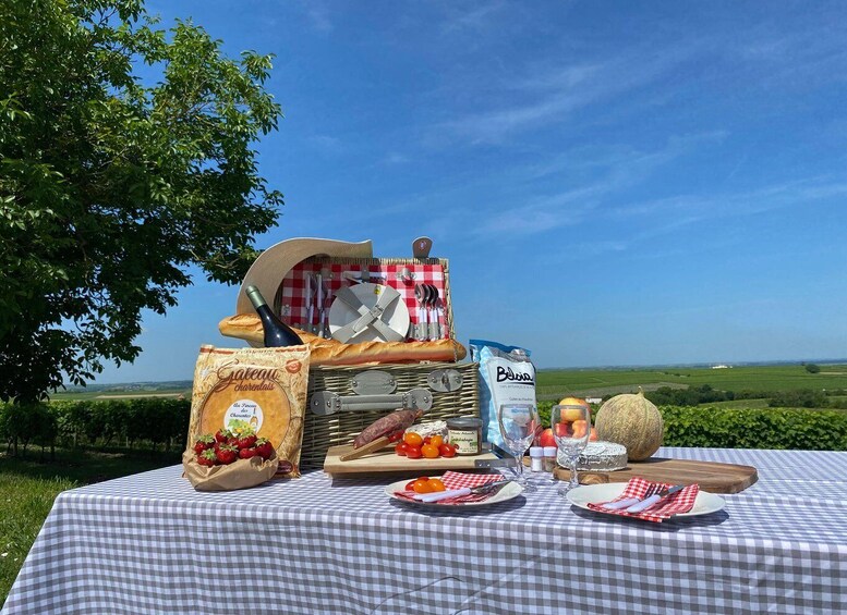 Picture 1 for Activity 10 Minutes from Cognac: Picnic in the Vineyards 3