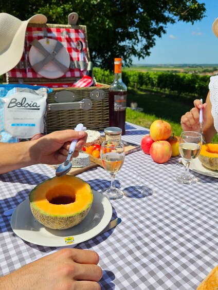 10 Minutes from Cognac: Picnic in the Vineyards 1