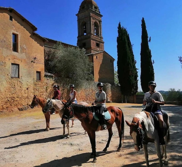Sienese Hills: Horseback Riding with a Panoramic View in Tuscany 1