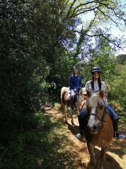 Picture 13 for Activity Sienese Hills: Horseback Riding with a Panoramic View in Tuscany 3