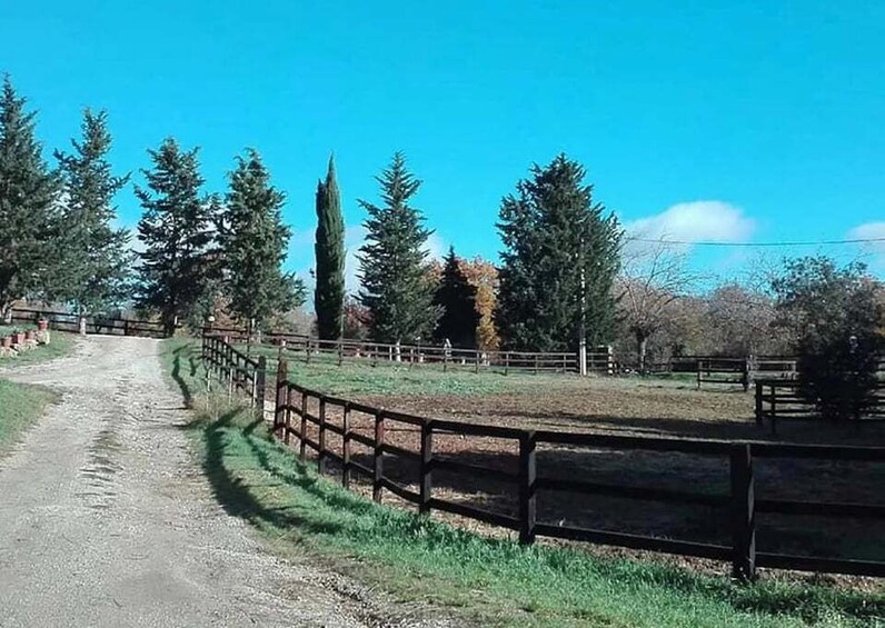 Picture 5 for Activity Sienese Hills: Horseback Riding with a Panoramic View in Tuscany 5