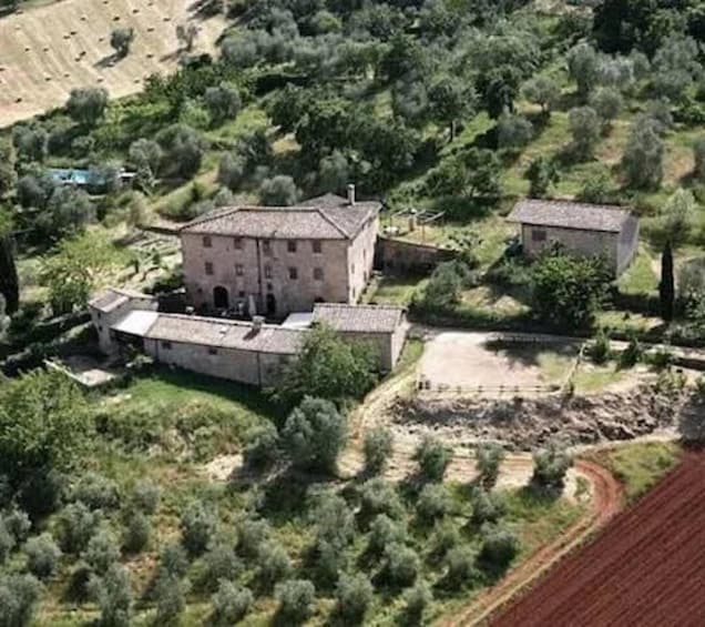 Picture 2 for Activity Sienese Hills: Horseback Riding with a Panoramic View in Tuscany 2
