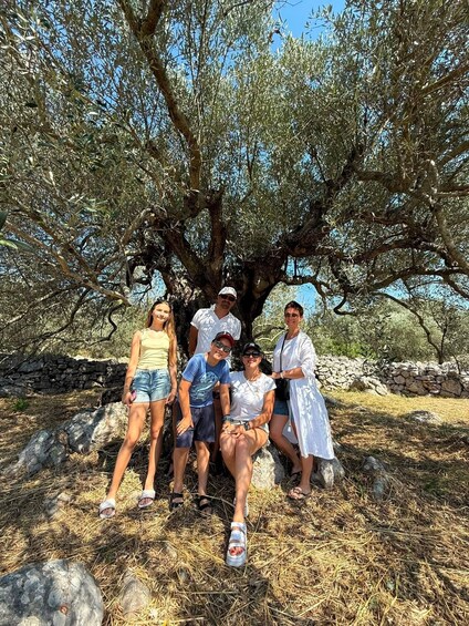 A group of people posing under an olive tree in a dry, rocky landscape. 2
