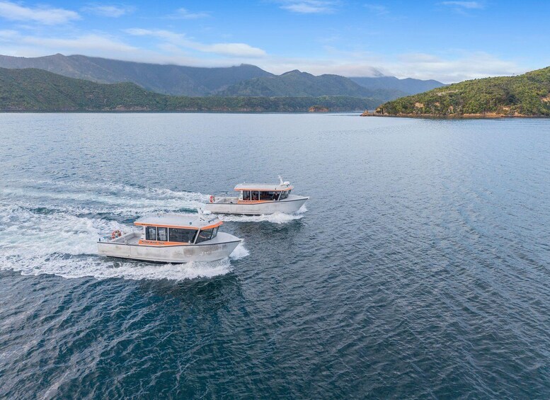 Two boats on a calm lake with mountains in the background. 4
